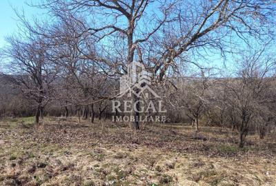 Casă individuală cu 6 camere cu Canalizare în Cerișor - 16