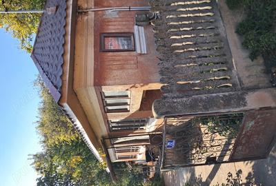 Casă cu 3 camere cu Teren 1354 Mp în Segarcea - 5