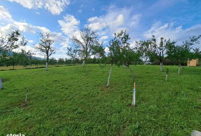 Spațiu comercial, în Benic - 7