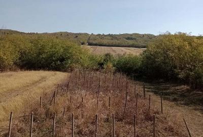 Casă cu 6 camere în Vlăngărești - 2