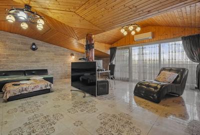 Comision 0% 2 case Vila + Spatiu Comercial + Curte Proprie - 23