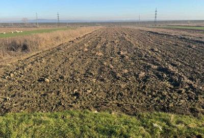 Spațiu comercial, în Central - 2