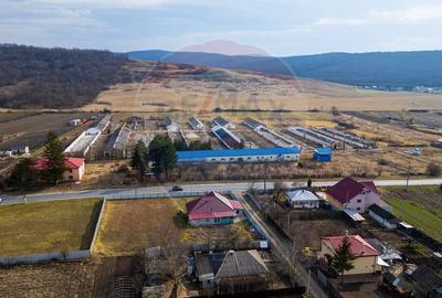 Spațiu industrial, de 800 mp, în Traian - 6