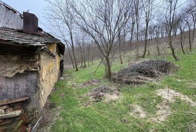 Teren Construcții intravilan de 2038 mp, în Ghercești - 11