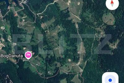 Teren de 3926 mp, în Colibița