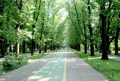 Teren Construcții intravilan de 630 mp, în Kiseleff - 2