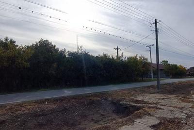 🏡  Casă de Poveste în Șiria, Arad- Locație Rară - 7