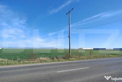 Teren de 59000 mp, în Ariceștii Rahtivani - 3