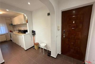 Garsoniera confort 1 , parter, 40mp, mobilata si utilata , B-dul Bucuresti - 13