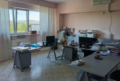Spațiu comercial, de 5,800 mp, în Lipănești - 5