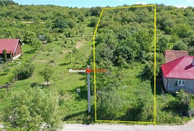 TEREN PENTRU CONSTRUCTIE REZIDENTIALA | 2878 MP | PODGORIA - 2