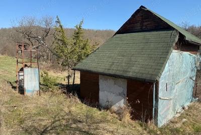 Casă cu 3 camere cu Teren 8000 Mp în Dumbrăvița - 5