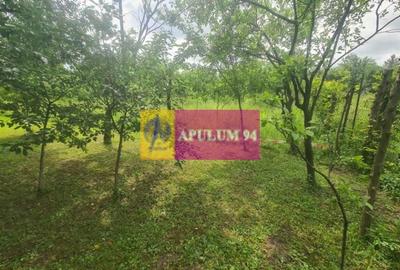 Casă de vânzare în Bănești - 16