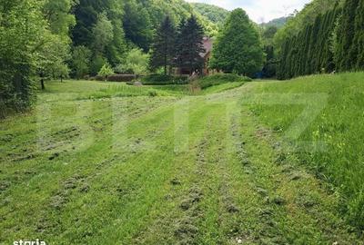 Casă cu 3 camere în Țelna - 13