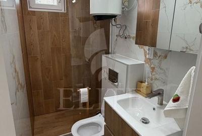 Apartament cu 2 camere în Plopilor - 11