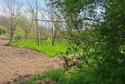 Casă cu 4 camere cu Teren 3850 Mp în Olanu - 8