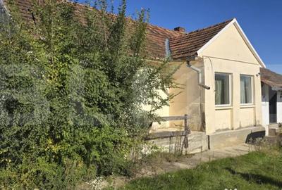 Casă cu 2 camere cu Teren 2397 Mp în Sud - 1