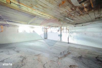 Spațiu comercial, de 820 mp, în Girișu de Criș - 6