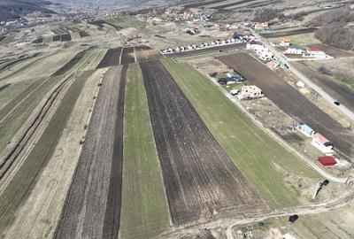Vand teren 5800 mp la 8 km de centrul Clujului, la intrarea in Poesti. - 5