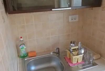 Garsonieră semidecomandată în Traian - 10