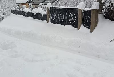 Casă cu Teren 7851 Mp în Măgura - 1