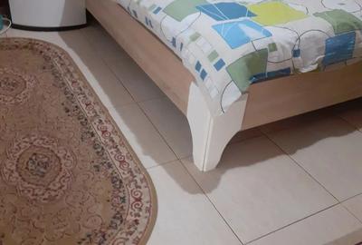 Casă cu 3 camere în Buzaului - 5