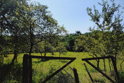 Teren de 2500 mp, în Zmeurătu - 5