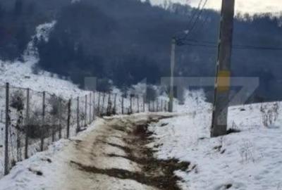 Teren de 7300 mp, în Central - 2