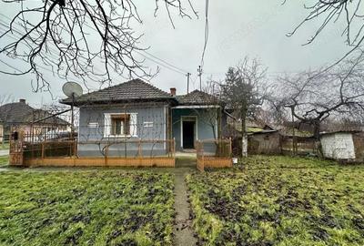 Casă cu 3 camere cu Teren 4191 Mp în Cig - 11