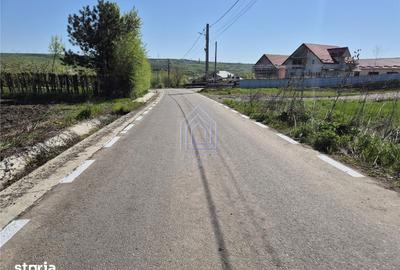 Teren de 5100 mp, în Moara - 1