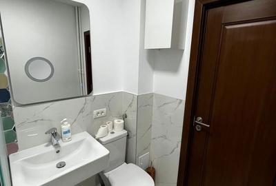 Apartament cu 2 camere în Centrul Civic - 12