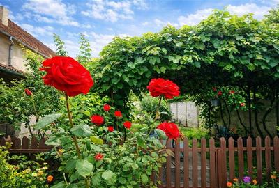 Casă individuală cu 3 camere cu Teren 490 Mp în Exterior Est - 1