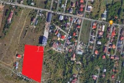 Teren 10.000 mp Giurgiului Tiparnitei Teren 10.000 mp Giurgiului Tiparnitei - 1