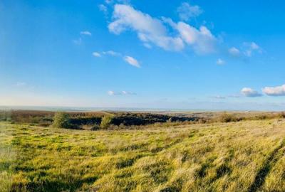 Spațiu comercial, în Rasova - 5