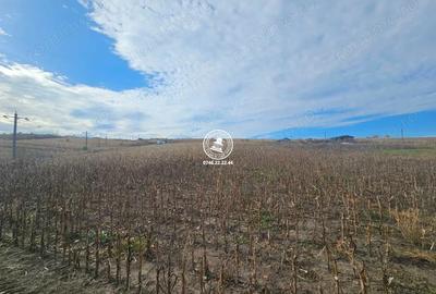 Teren de 11000 mp, în Central - 2