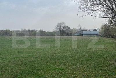 Spațiu comercial, în Marginea - 4