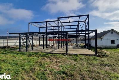 Casă cu 5 camere cu Teren 2660 Mp în Poarta Albă - 8