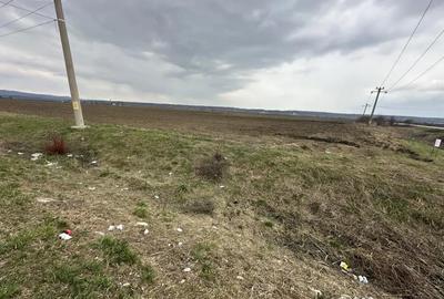 Teren de 24100 mp, în Gura Ocniței - 3