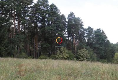 Teren de 1195 mp, în Central - 4