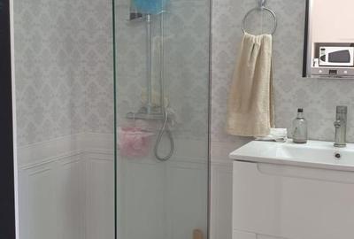 Casa Duplex P+M ,4 camere,Domnesti - Ciutaci - 10