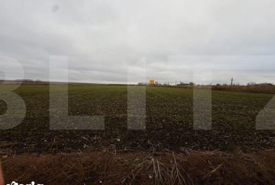 Teren de 5000 mp, în Mihai Eminescu