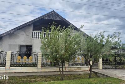 Casă cu 3 camere cu Teren 2918 Mp în Doba - 18