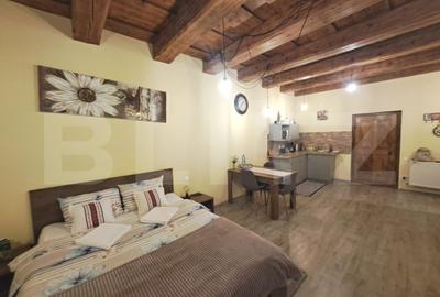 Studio nou renovat, in Centrul Istoric al Brasovului – ideal afacere Booking - 3