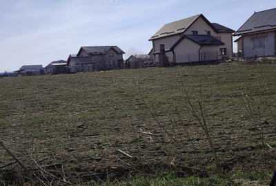 Teren Construcții extravilan de 23200 mp, în Săbăreni - 3