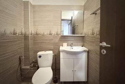 Apartament cu 3 camere semidecomandat, mobilat în Lipovei - 21