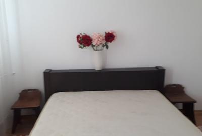 Apartament central-ideal investitie - 13