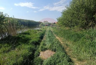 Vanzare Teren Constructii Langa Lac si Padure | Branesti | Ocazie! - 4