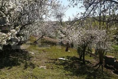 Casă cu 4 camere cu Teren 3200 Mp în Glodeni - 3