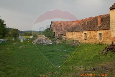 Teren în Bunești - 18