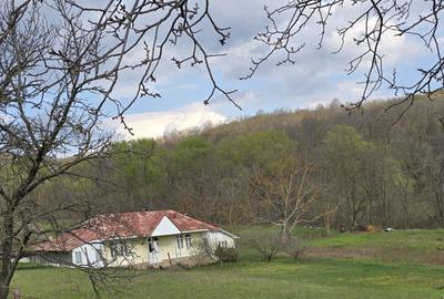 Casă cu 3 camere în Motoșeni - 1